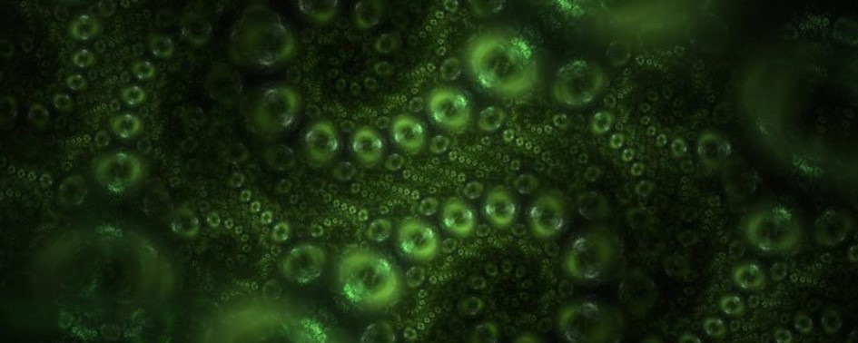 Nova pesquisa em astrobiologia prevê vida alienígena desconhecida Nova pesquisa em astrobiologia prevê vida alienígena desconhecida