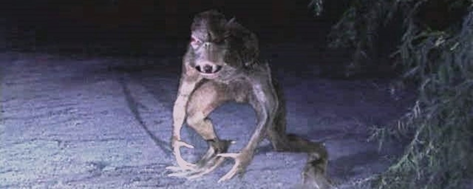 Chupacabras Atacam no Paraguai Chupacabras Atacam no Paraguai