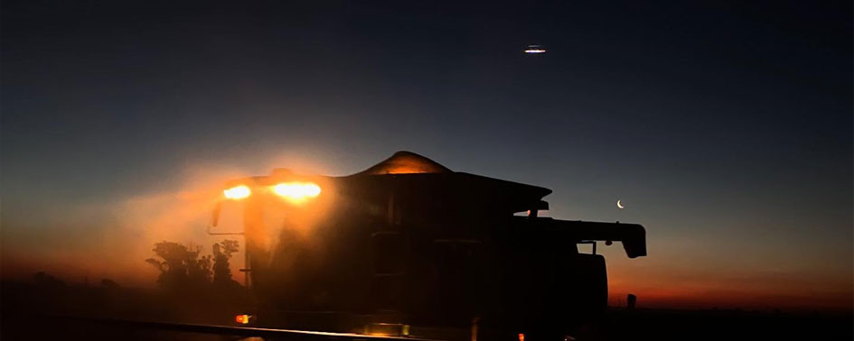 Estranha aparição em Rafaela: suposto OVNI capturado durante colheita de soja Estranha aparição em Rafaela: suposto OVNI capturado durante colheita de soja