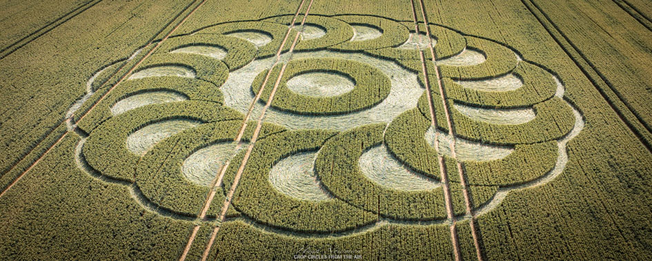 Surge novo agroglifo no Sul da Inglaterra