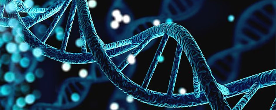 Cientista encontra evidências de ‘DNA alienígena’ em humanos Cientista encontra evidências de ‘DNA alienígena’ em humanos